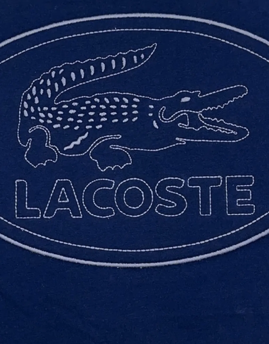 Men's Crew Neck Embroidered Logo Cotton T-shirt Blue Patagonia Clothing
