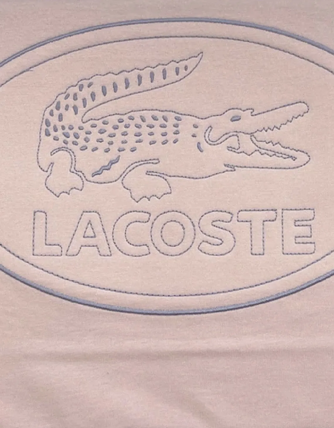 Men's Crew Neck Embroidered Logo Cotton T-shirt Light Pink Patagonia Clothing
